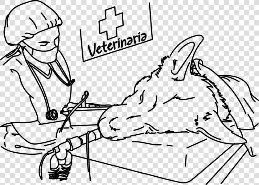 Veterinary  Operation  Dog  Surgery  Pet   Dog Surgery Drawing  HD Png DownloadTransparent PNG