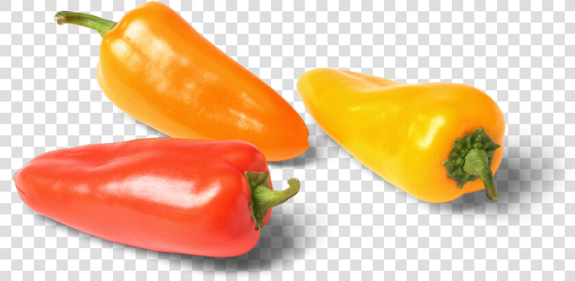 Bulk Pure Flavor Aurora Bites  Red  Yellow And Orange   Sweet Bite Peppers  HD Png DownloadTransparent PNG