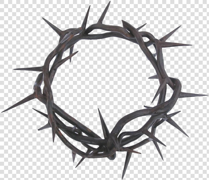 Thorns Png Photos   Crown Of Thorns Png  Transparent PngTransparent PNG