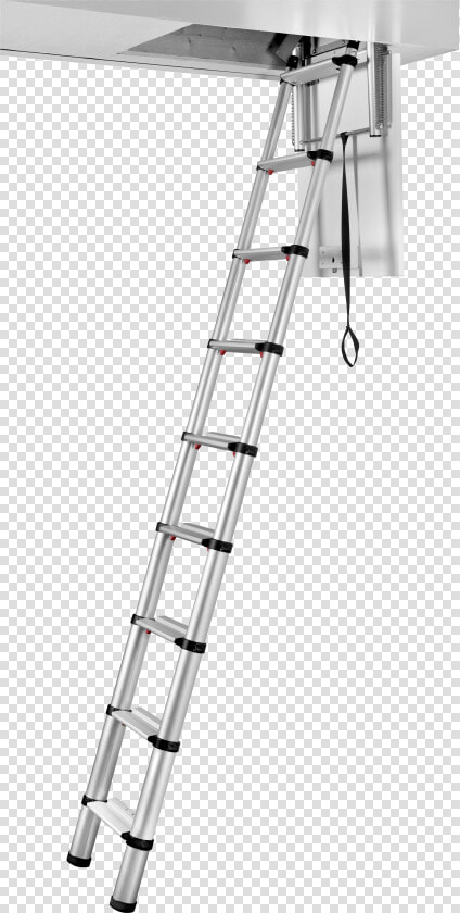 Transparent Ladders Png   Ladder  Png DownloadTransparent PNG