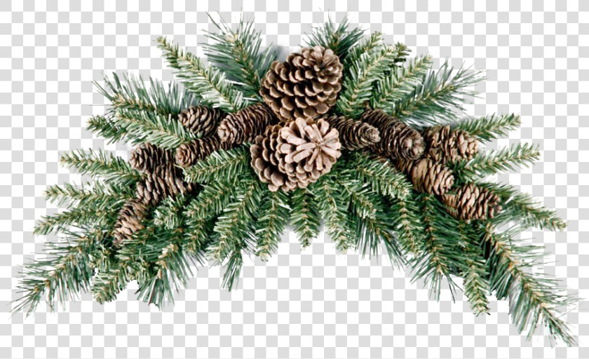 Pinecone Png Picture   Christmas Swag  Transparent PngTransparent PNG