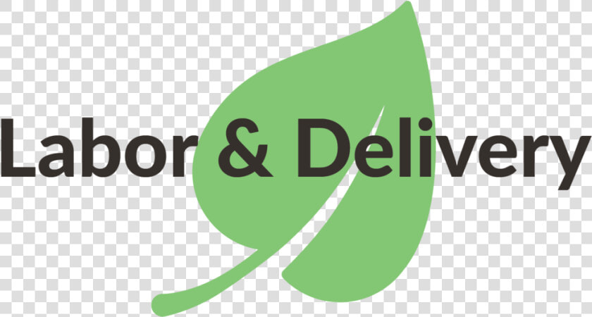 Labor delivery   Graphic Design  HD Png DownloadTransparent PNG