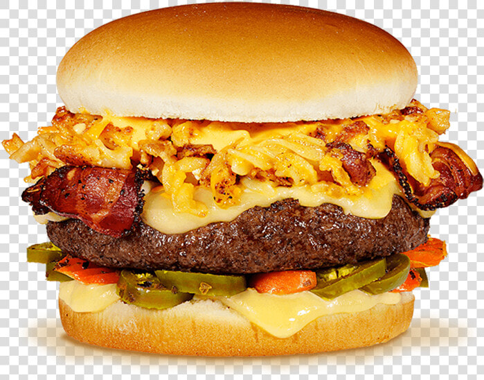 Cheeseburger Hamburger Coleslaw Recipe   Burger With No Background  HD Png DownloadTransparent PNG