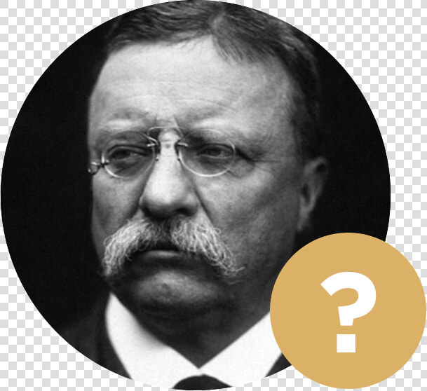 Theodore Roosevelt Quotes Keep Your Eyes  HD Png DownloadTransparent PNG