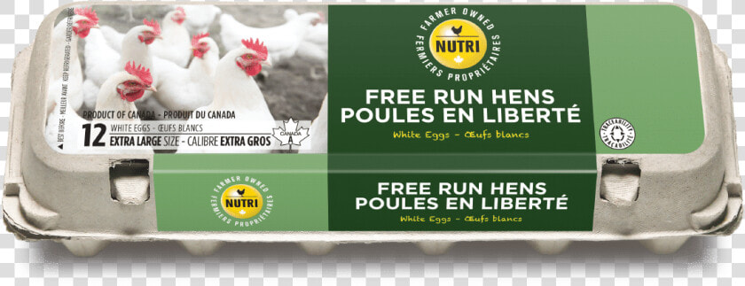 Nutrioeuf Products Free Run Hens 12xlw   Free Run Eggs Canada  HD Png DownloadTransparent PNG