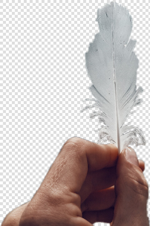 Feather Duster Png   Paper  Transparent PngTransparent PNG