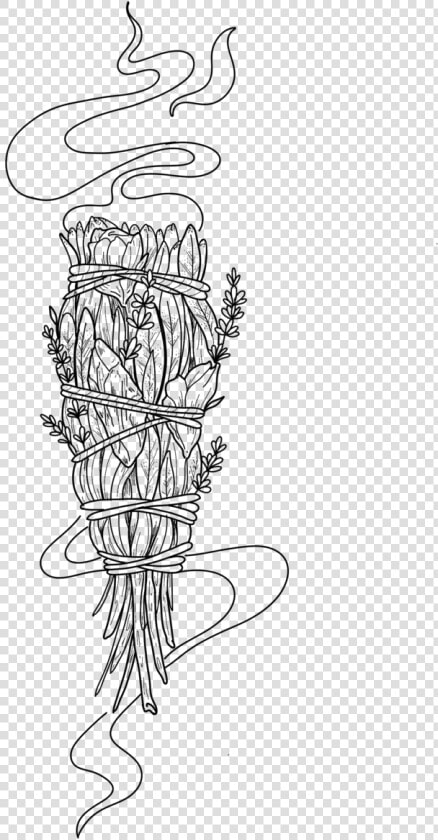 Smudge Stick   Line Art  HD Png DownloadTransparent PNG