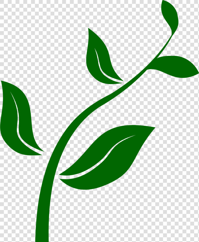 Clipart     Growing Plant Clip Art  HD Png DownloadTransparent PNG