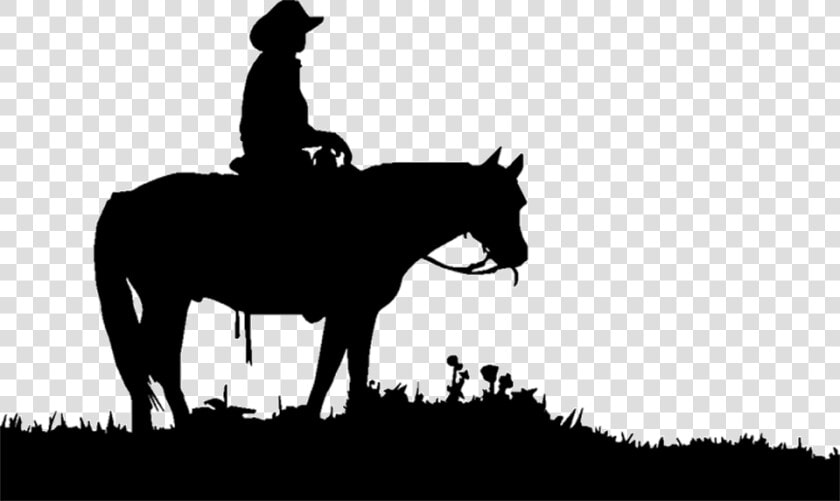 Transparent Horses Cowboy Clipart Freeuse Download   Cowboy On Horse Clipart  HD Png DownloadTransparent PNG