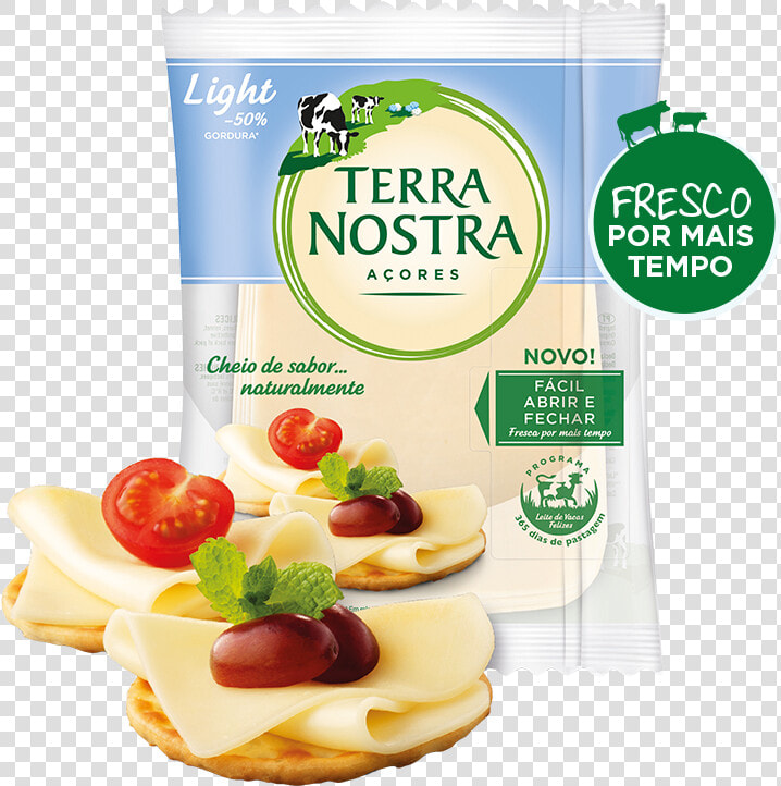 Terra Nostra Light   Terra Nostra  HD Png DownloadTransparent PNG