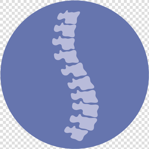 Spinal Cord Injury Icon  HD Png DownloadTransparent PNG