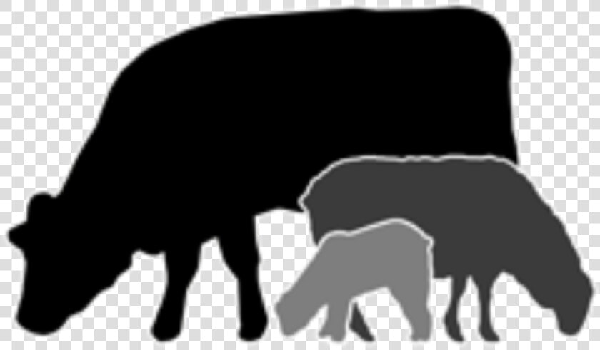 Grazing Icon  HD Png DownloadTransparent PNG