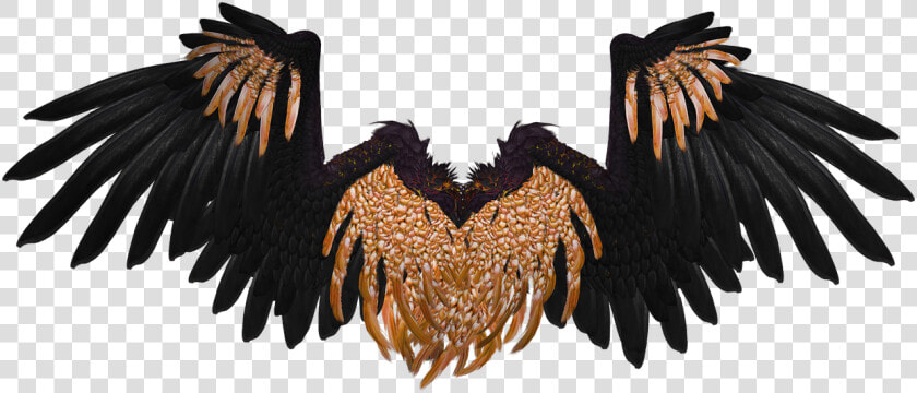 Wing  Angel  Flying  Gold  Black  Isolated  3d  Render   Black And Gold Angel Wings  HD Png DownloadTransparent PNG