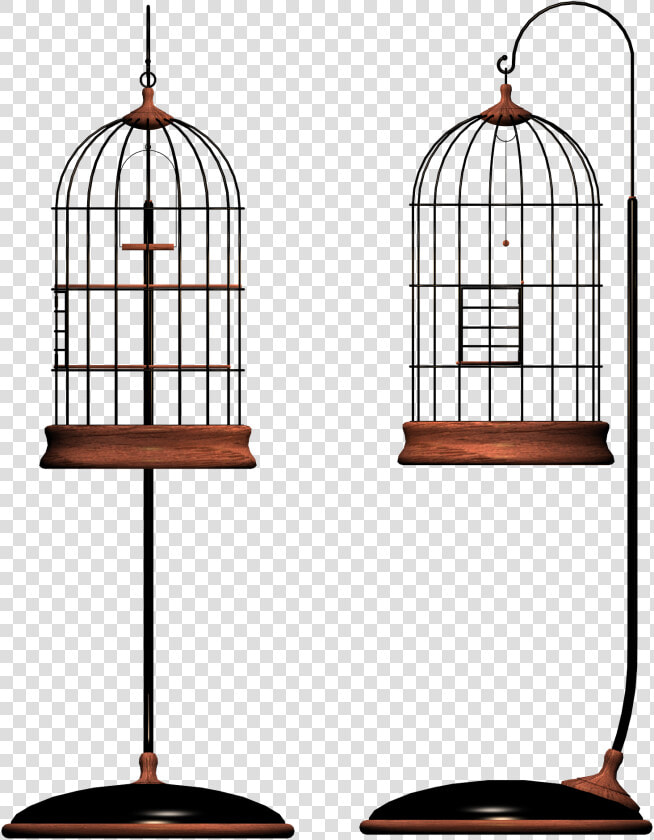 Bird Cage 1880  HD Png DownloadTransparent PNG