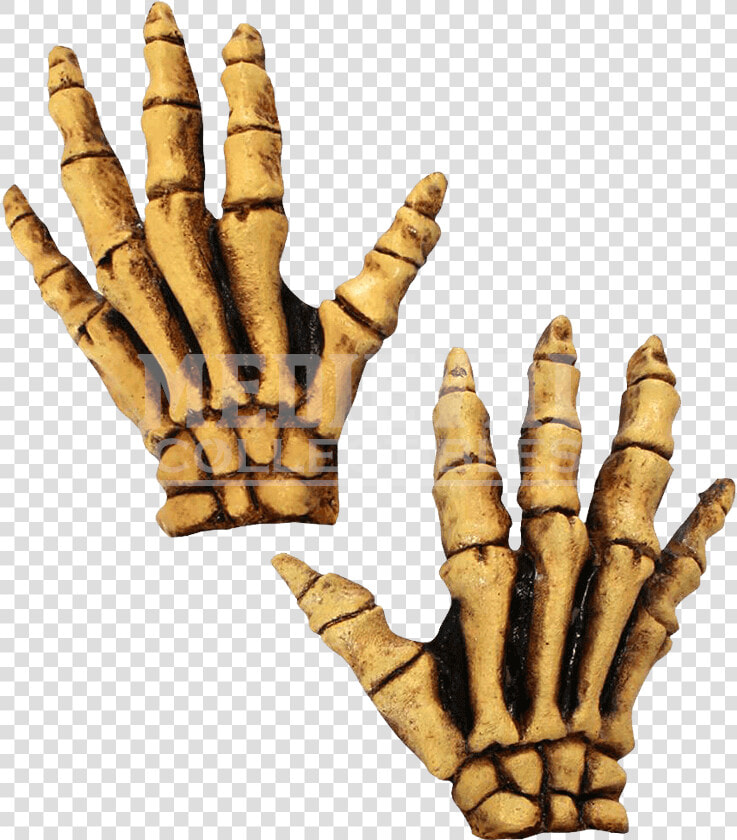 Human Skeleton Glove Costume Bone   Latex Skeleton Gloves  HD Png DownloadTransparent PNG