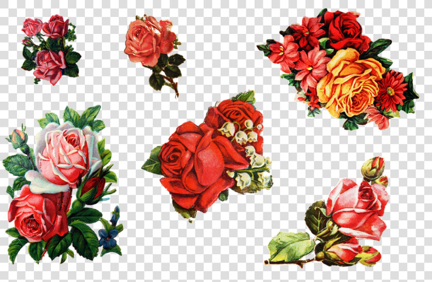 Rosor  Klistermärke  Gamla  Retro  Dekoration   Free Printable Rose Stickers  HD Png DownloadTransparent PNG