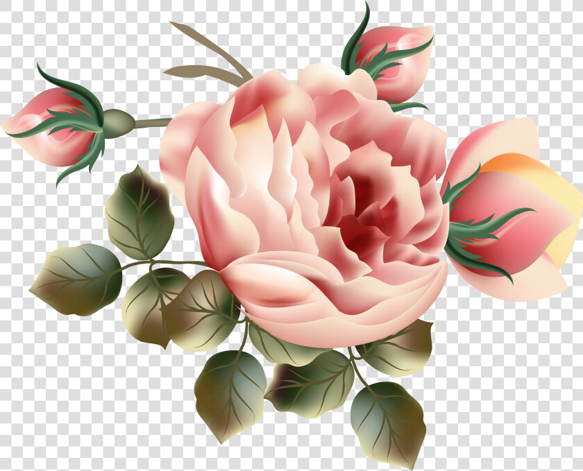 Gardener Clipart Planted Flower   Hybrid Tea Rose  HD Png DownloadTransparent PNG