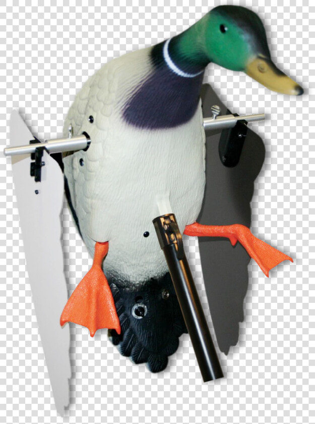 Image Of Mojo Super Mallard   Mallard  HD Png DownloadTransparent PNG