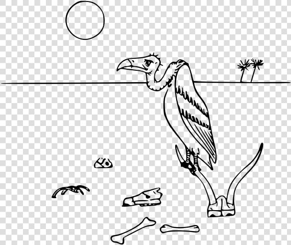 Vulture In Desert Vector Illustration  HD Png DownloadTransparent PNG