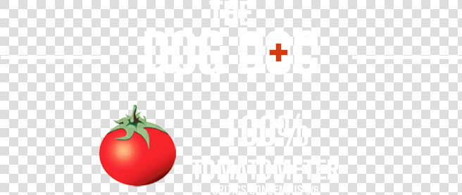 Rotten Tomatoes   Cherry Tomatoes  HD Png DownloadTransparent PNG