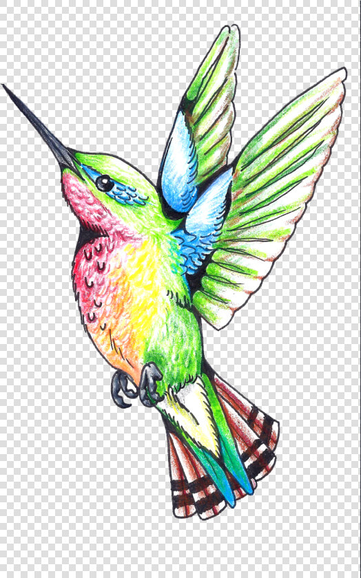 Hummingbird Tattoos Png Clipart   Humming Bird Clip Art  Transparent PngTransparent PNG