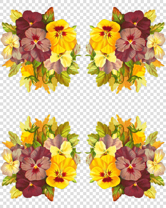 Alstroemeriaceae  HD Png DownloadTransparent PNG