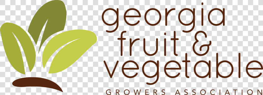 Organics Fruits Logo   Calligraphy  HD Png DownloadTransparent PNG