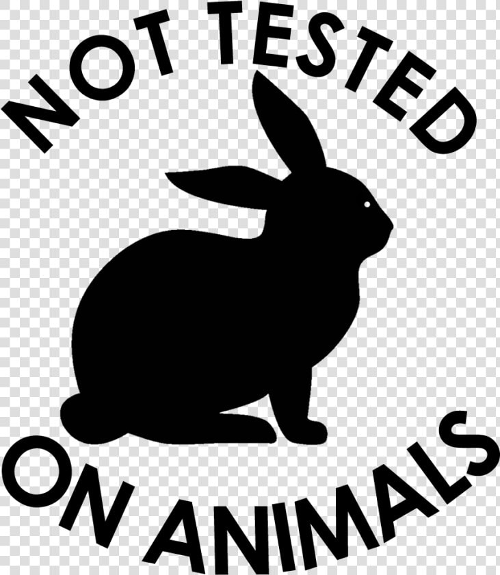 Not Tested On Animals Png   Domestic Rabbit  Transparent PngTransparent PNG