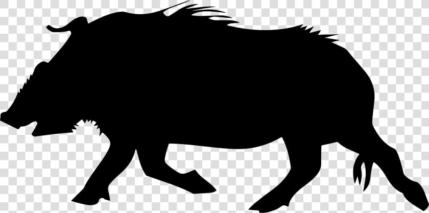 Wild Boar Silhouette Clip Art   Wild Boar Silhouette Png  Transparent PngTransparent PNG