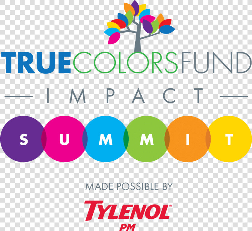 True Colors Fund Impact Summit  HD Png DownloadTransparent PNG