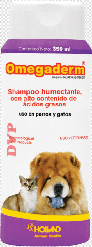 Shampoo Dermatologico Para Perros  HD Png DownloadTransparent PNG