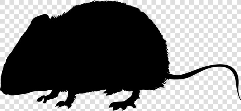 Punxsutawney Phil   Silhouette  HD Png DownloadTransparent PNG