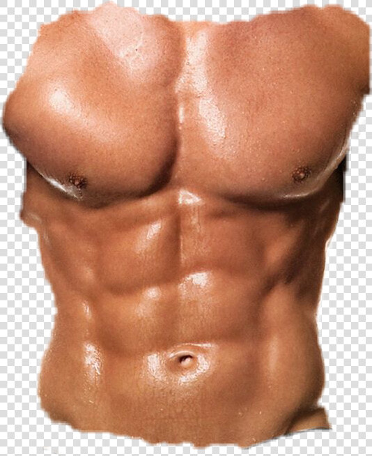  abs   Best Body Build  HD Png DownloadTransparent PNG