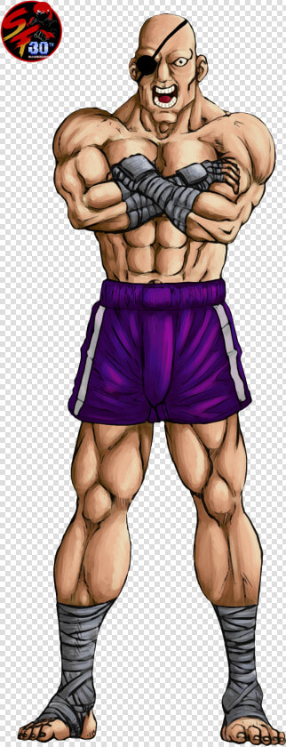 Sagat Street Fighter  HD Png DownloadTransparent PNG