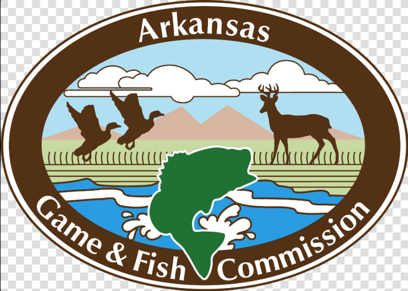 Public Duck Hunting In Ne Arkansas   Arkansas Game And Fish Commission  HD Png DownloadTransparent PNG