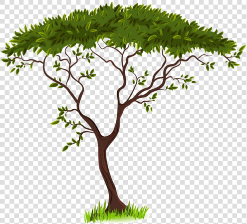 Savanna Silhouette Clip Art   Tree Clipart Transparent Background  HD Png DownloadTransparent PNG