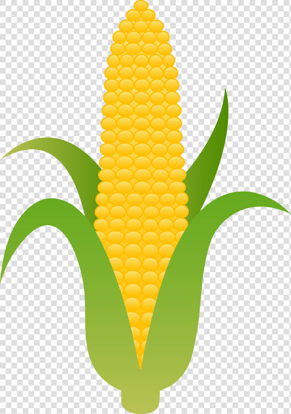 Candy Corn Candyrn Clip Art Rn Vegetable   Clip Art Ear Of Corn  HD Png DownloadTransparent PNG