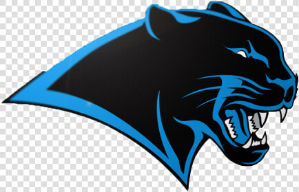 Couch Rider Report  Carolina Panthers Png Logo   Logo Transparent Panthers  Png DownloadTransparent PNG