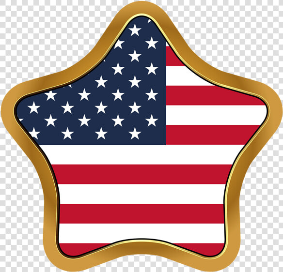 Usa Flag Star Png Clip Art Image   Directorate general For International Cooperation And  Transparent PngTransparent PNG