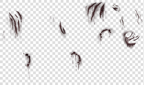 Evil Eyebrows Png  Transparent PngTransparent PNG