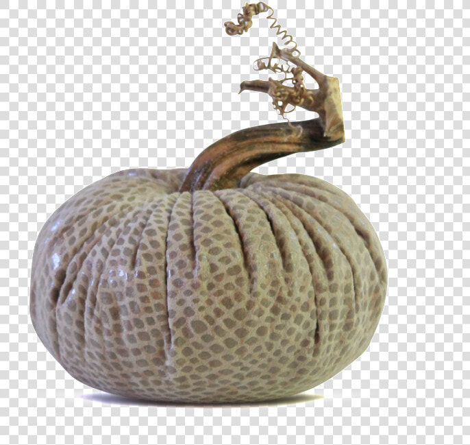 Data Image Id 15288085190 Class Productimg Product   Pumpkin  HD Png DownloadTransparent PNG