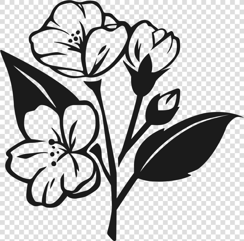 Transparent Jasmine Flower Png   Jasmine Flower Vector Png Black White  Png DownloadTransparent PNG