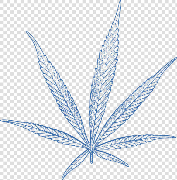 Cannabis Leaf Blue   Planta Cannabis Vector Free  HD Png DownloadTransparent PNG