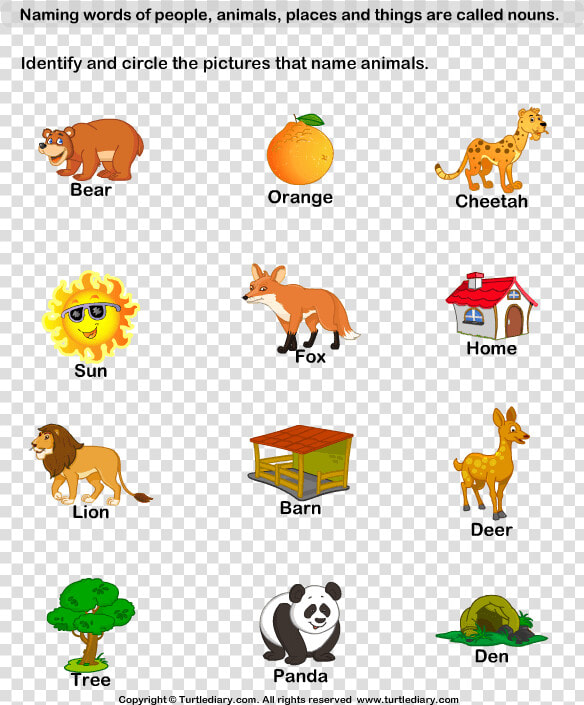 Of Example X Letter Adjectives Naming Animal Diary   Naming Words For Things  HD Png DownloadTransparent PNG