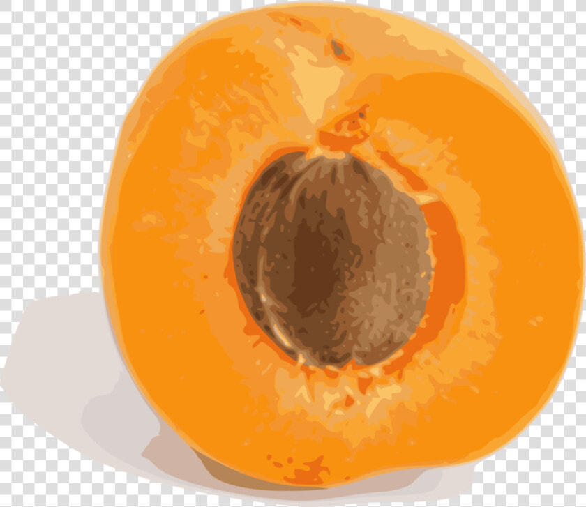 Orange food plant   Apricot Fruit  HD Png DownloadTransparent PNG