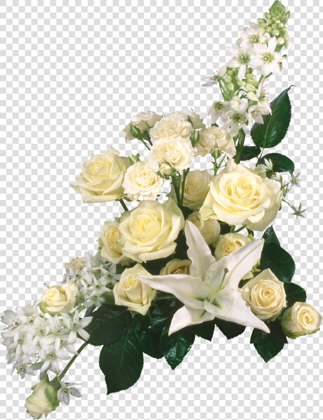 Grave Piece Flowers Free Picture   Imagenes De Rosas Blancas En Png  Transparent PngTransparent PNG