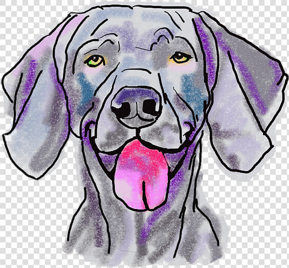 Weimaraner Sticker  HD Png DownloadTransparent PNG