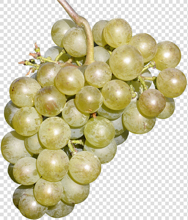 Wine Grapes Free Fruit Delicious Free Photo   Grape  HD Png DownloadTransparent PNG