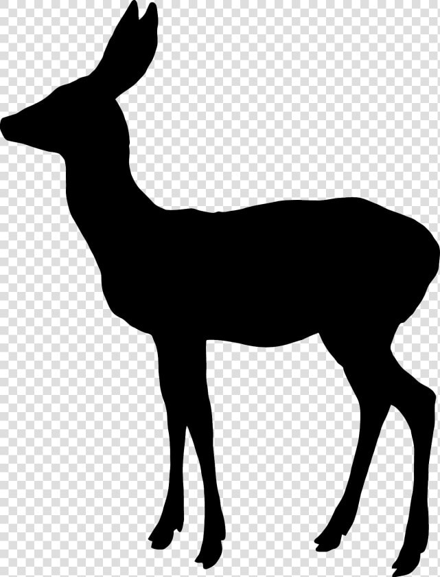 White tailed Deer Reindeer Elk Moose   Christmas Girl Silhouette  HD Png DownloadTransparent PNG