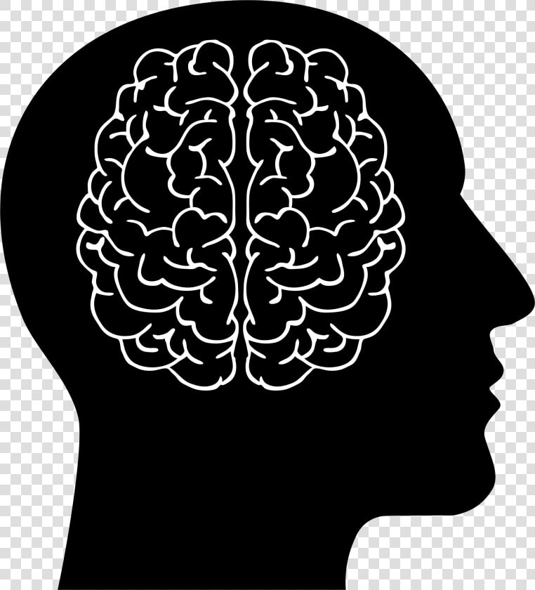 Transparent Brain Clip Art   Man Brain Clipart  HD Png DownloadTransparent PNG